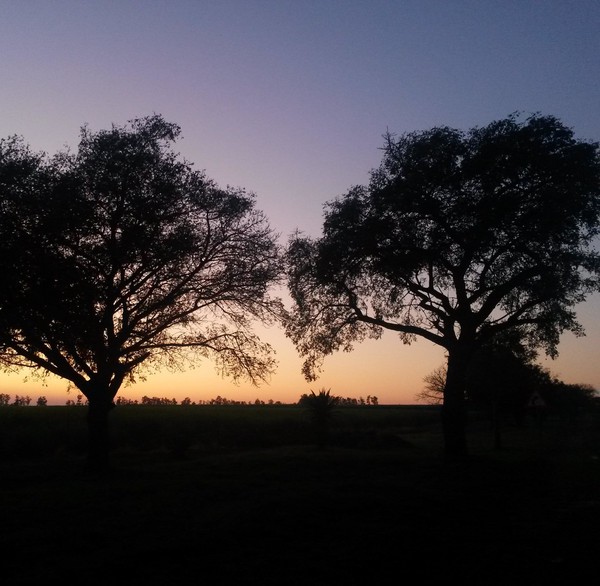 charset=InvalidCharsetId ments